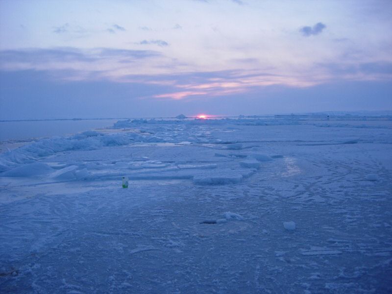 DSCN0380.jpg