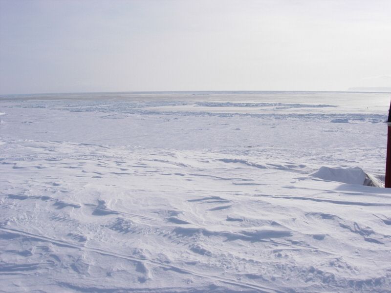 DSCN0405.jpg