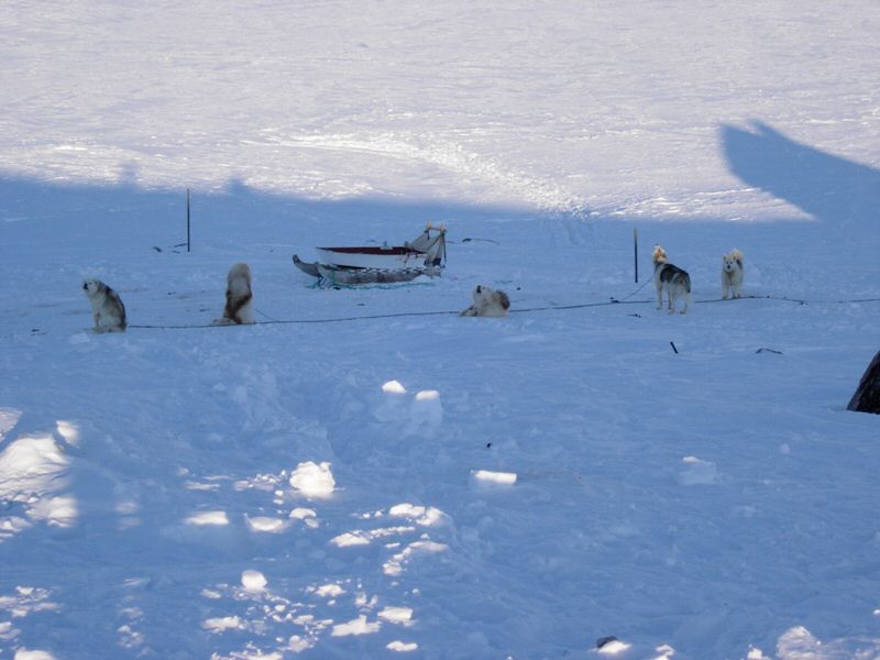 DSCN0443.jpg