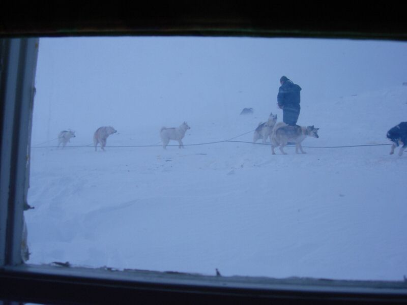 DSCN0483.jpg