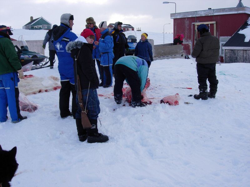 DSCN0537.jpg