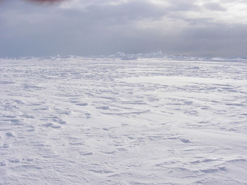 DSCN0576.jpg