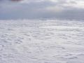 DSCN0576.jpg