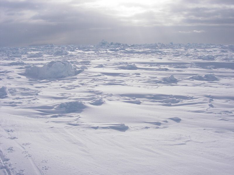 DSCN0579.jpg