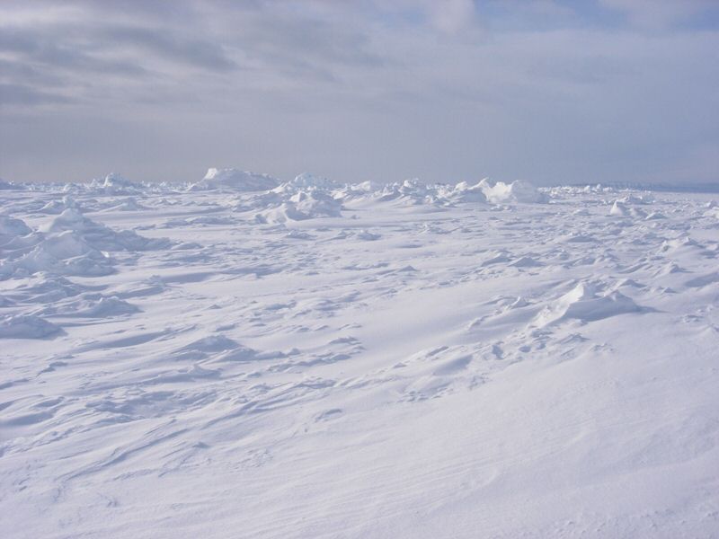 DSCN0580.jpg