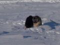 DSCN0606.jpg