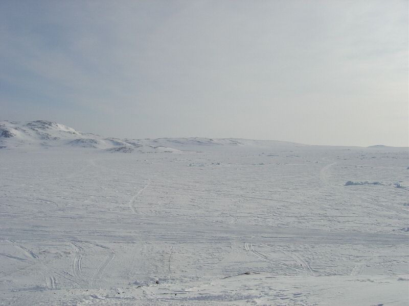 DSC01047.jpg
