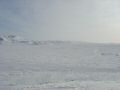 DSC01047.jpg