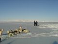 DSC01107.jpg