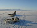 DSC01134.jpg