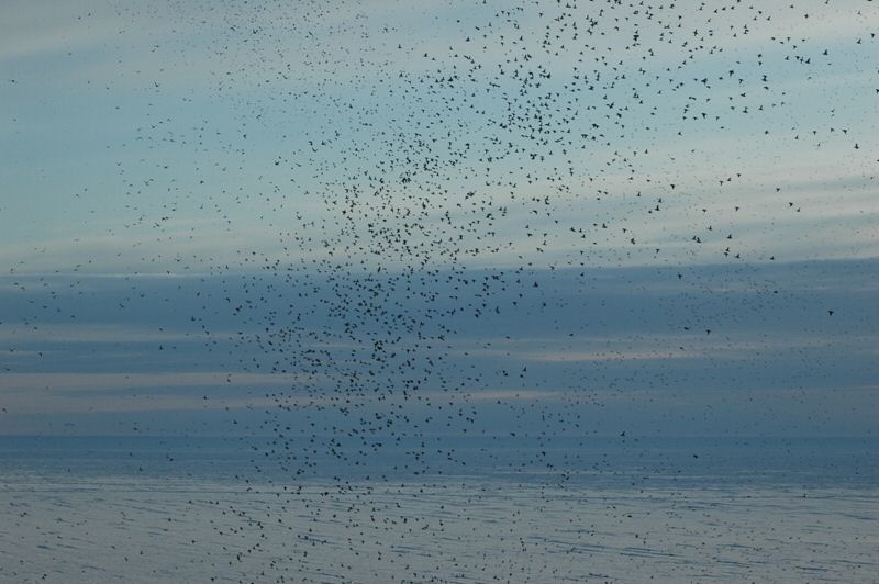 DSC_0405.jpg