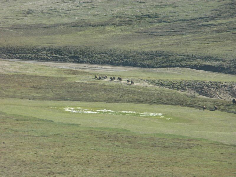 PICT0155.jpg