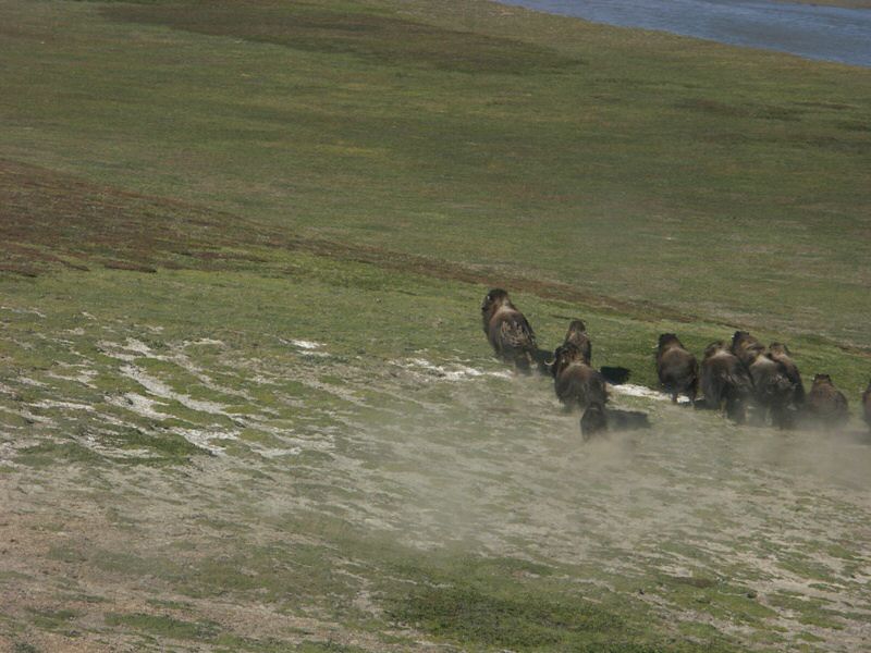 PICT0158.jpg